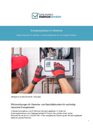 BDEW factsheet Tipps Energiesparen-allgemeine-energiespartipps Energieeffizienz.pdf