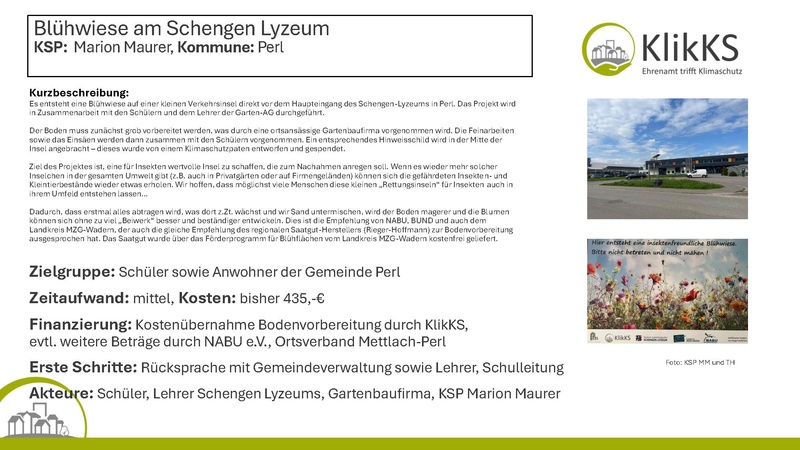 Datei:KlikKS Steckbrief Blühwiese in Perl.pdf