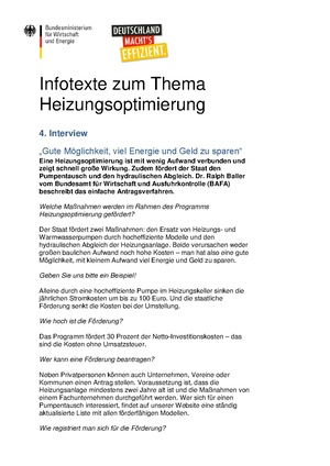 BMWK Heizungsoptimierung Interview Foerderantrag BAFA.pdf
