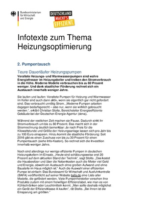 BMWK Infotext Heizungssanierung Pumpentausch.pdf
